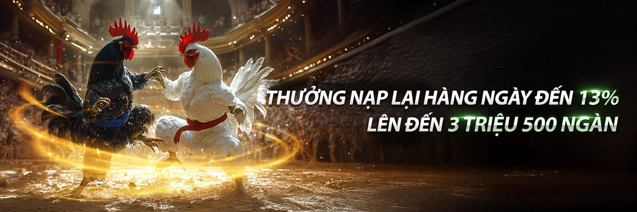 Sân đấu đá gà trực tuyến sôi động tại 99go